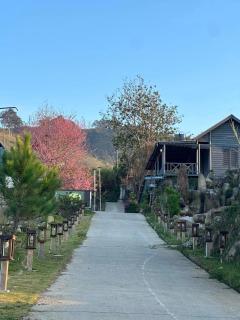 Đà Lạt Thiên Vương Homestay - Lạc Dương - 8