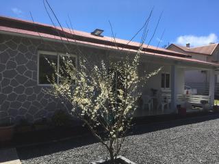 Gîte Hydrangea 974 - 7