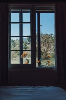 紅茶工房 - Yuchi - 2