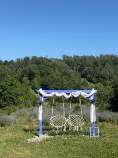 Casa cu Lavanda - 6