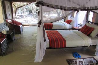 Giraff maasai mara home stay&safaris - 6