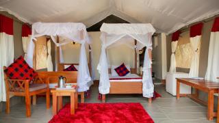 Giraff maasai mara home stay&safaris - 7