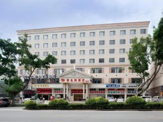 Vienna Hotel Shenzhen Bao'an Airport Taoyuanju Pingluanshan Metro Station - 0