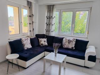 Dandelion - Belgrado - 6