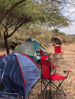 Olemayian Amboseli Cottages - Kimana - 6