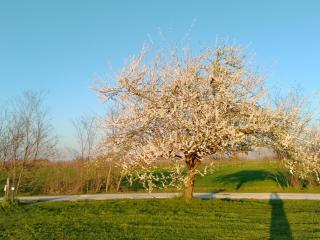 Agriturismo Natura Salute - San Biagio di Callalta - 9