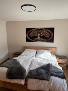 Haus Marchfeld - - 8