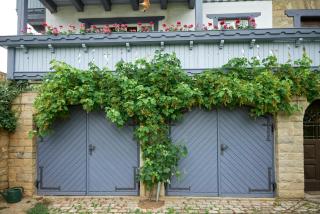Chalet bei Marktbreit - - 5