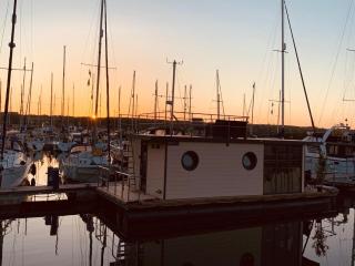 La Petite Foret Houseboat On The Isle Of Wight - Osborne - 9