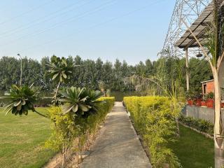 Arzen Farms - Zirakpur - 4