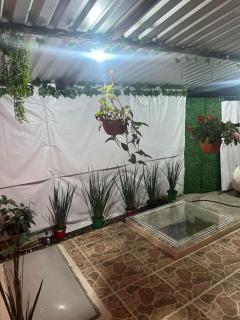 Spacious Apartment with Terrace - Orizaba - 1