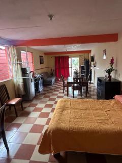 Spacious Apartment with Terrace - Orizaba - 5