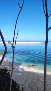 Casa Ale - Bisceglie - 8