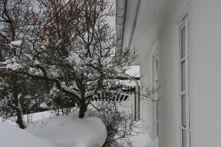 Ferienhaus Woge - Vitte - 2