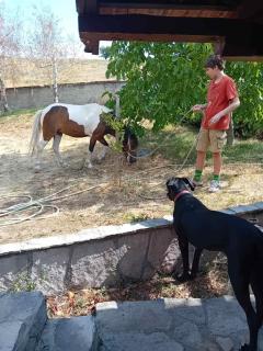 Seosko domaćinstvo STAREVINA - 3