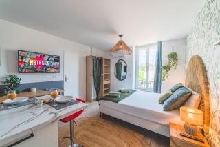 Jasmin Roanne centre-ville - Parking & Clim - 7