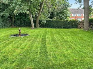 Rose Cottage - Uk49048 - Banstead - 5