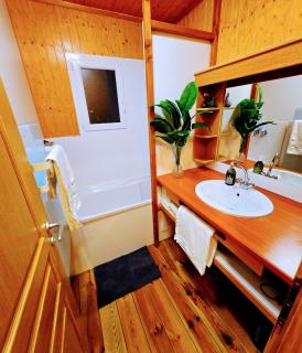 Chalet Les Balcons du Grand Puy - Seyne - 3