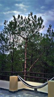 XTSY Travellers Hostel - 3