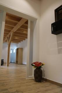 Apartment 1901 - Menslage - 0