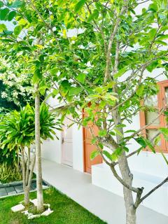 Moonbeam Homestay & Mini-resort Mui Ne - Phan Thiet - 6