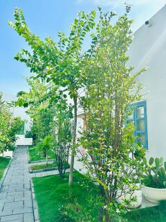 Moonbeam Homestay & Mini-resort Mui Ne - Phan Thiet - 7