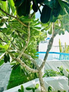 Moonbeam Homestay & Mini-resort Mui Ne - Phan Thiet - 8