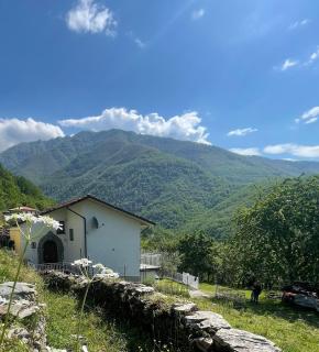 Il Ciliegio - - 0