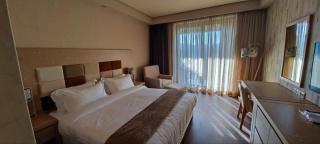 Dream Land Oasis 14-704 apartment - Chakvi - 8