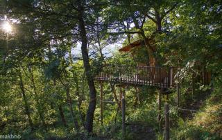 Cabane de la Bannette - Magnifique cabane dans les arbres, vue panoramique - Thoard - 9