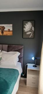 Cleo's Corner - 5