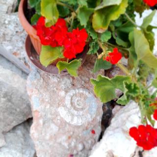B&B L'Imperfetto - 4