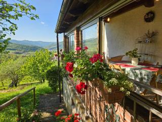 Casa dei Ciliegi - Camerana - 0