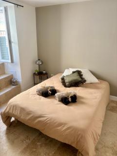 Chaleureux T1 avec Balcon - 3