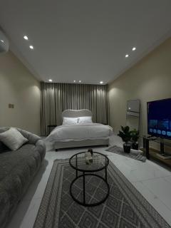 استديو ماستر بدخول ذاتي - 7