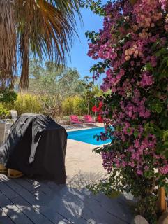 Peaceful 4 stars eco-friendly villa with private pool and parking - 7