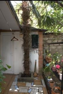 Cozy Studio with Garden Access - 2