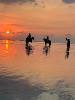 Namali Villa Gili Trawangan - 5