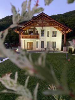 Casa Sub Dumbravă - Bîrsana - 7