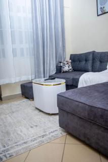 Par Mucii, a cosy one-bedroom in south B - 6