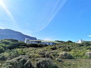 Turtle Drum ON THE BEACH - Bettyʼs Bay - 5