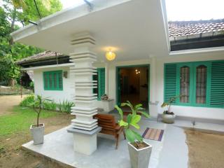 Lazy Monkey Surfhostel - Sri Lanka - 5