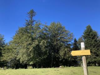 Refuge d'Issarbe - Lanne-en-Barétous - 3