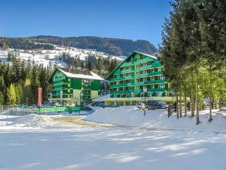 Alpine Club Resort - Schladming - 3
