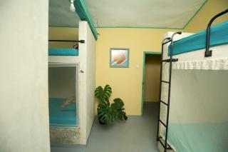 Lazy Monkey Surfhostel - Sri Lanka - 8