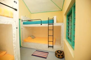 Lazy Monkey Surfhostel - Sri Lanka - 6