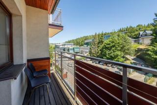 Apartament Viva Zakopane - Zakopane - 8