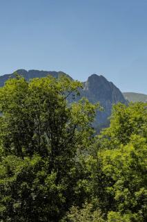 Apartament Viva Zakopane - Zakopane - 9