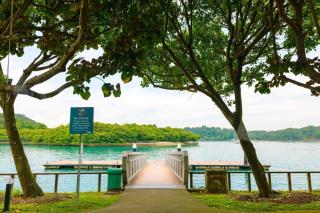 Tiny Away Escape at Lazarus - 1960 - 2