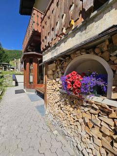 Giglio Della Montagna - Livigno - 0